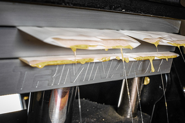 TRP Rosin Press Equipment - Paralab Green distributes Extraction equipment in Europe, Latin America, Middle East, Asia