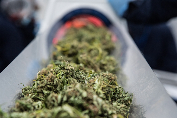 Mobius Conveyors Equipment - Paralab Green distributes Trimming equipment in Europe, Latin America, Middle East, Asia