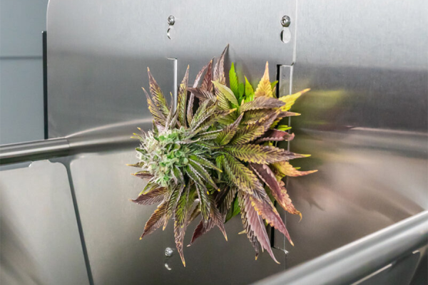 MBX Bucker Equipment - Paralab Green distributes Bucking equipment in Europe, Latin America, Middle East, Asia