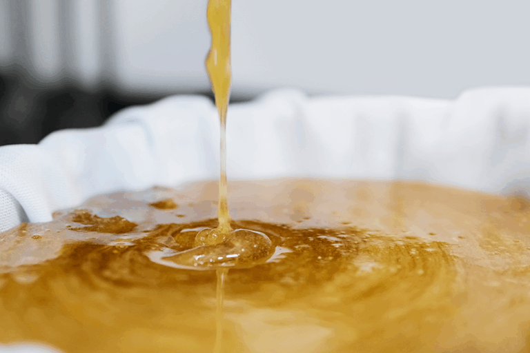 CO2 Extraction Equipment Banner - Paralab Green distributes Extraction equipment in Europe, Latin America, Middle East, Asia