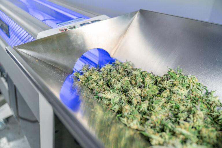 Trimming Equipment Banner - Paralab Green distributes Trimming equipment in Europe, Latin America, Middle East, Asia