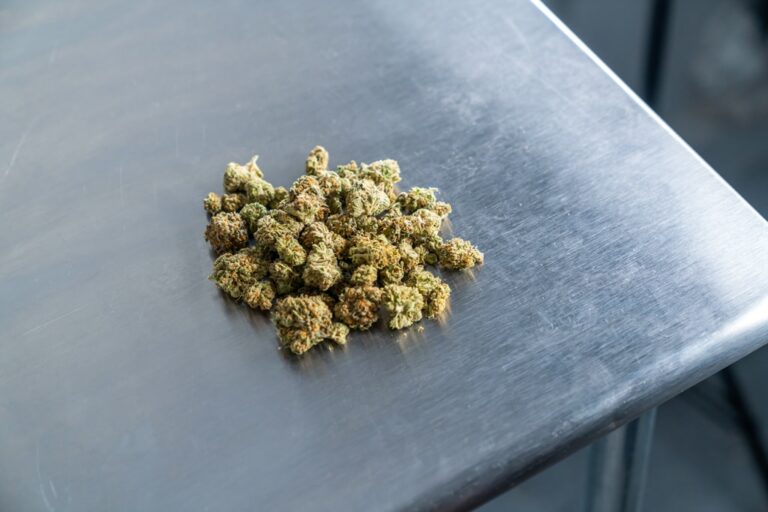 Milling Equipment Banner - Paralab Green distributes Milling equipment in Europe, Latin America, Middle East, Asia