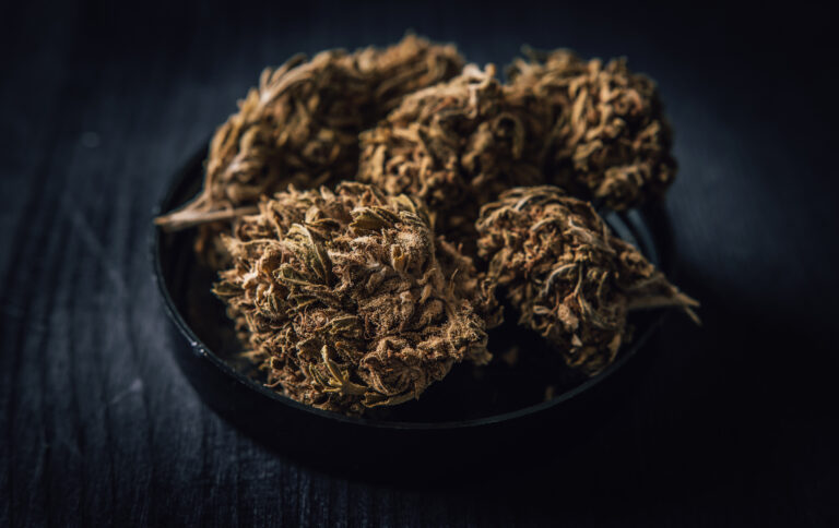Dry CBD cannabis, also known as dried hemp flowers, close up