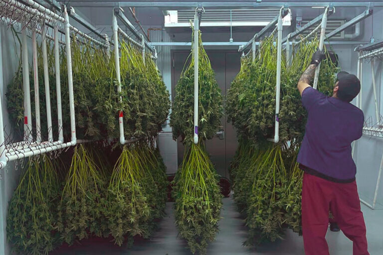 Drying Equipment - Paralab Green distributes Drying equipment in Europe, Latin America, Middle East, Asia