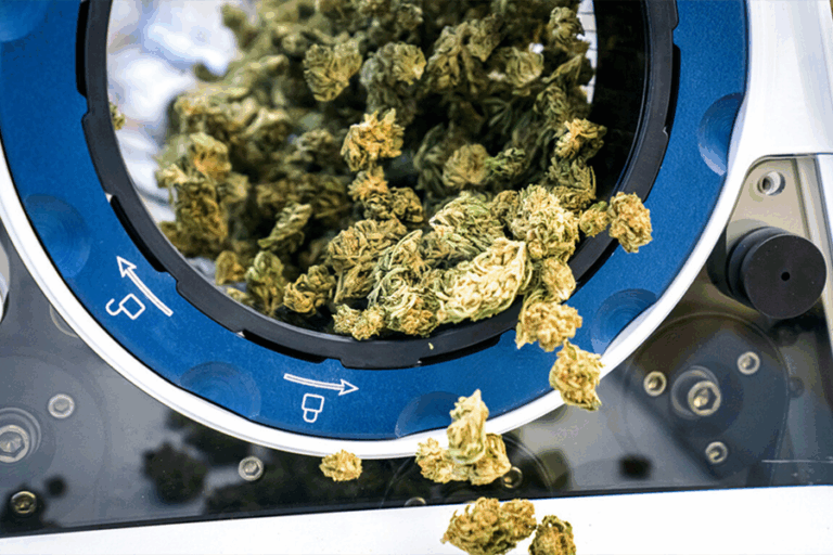 Trimming Equipment Banner - Paralab Green distributes Trimming equipment in Europe, Latin America, Middle East, Asia