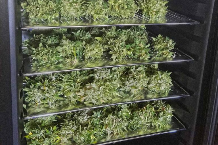 Cannatrol Cool Cure Equipment Banner - Paralab Green distributes Drying equipment in Europe, Latin America, Middle East, Asia