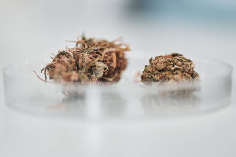 Bioburden Control Production Banner - Paralab Green distributes Bioburden Control equipment in Europe, Latin America, Middle East, Asia