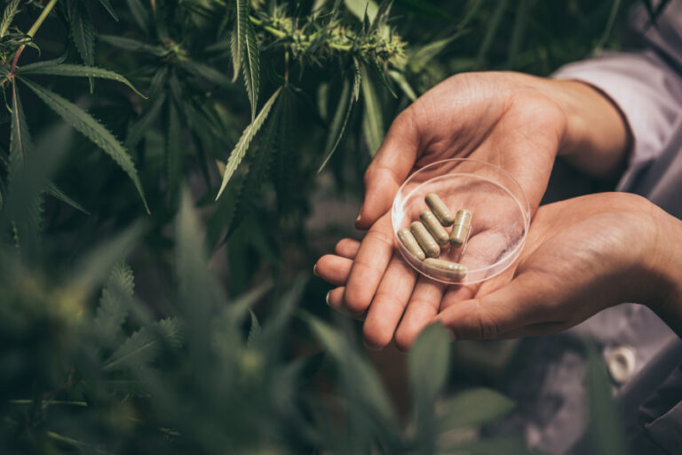 Nutraceuticals Cannabis Banner - Paralab Green distributes Medical Cannabis equipment in Europe, Latin America, Middle East, Asia